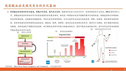 医药行业深度报告 高尿酸血症与痛风行业全景及国内贸易代理前景