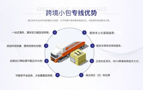 拉美DDP信息咨询服务费用解析