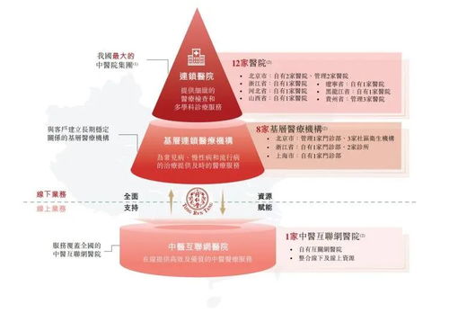 中药老字号或将迎来第四个IPO，国内贸易代理成资本新宠